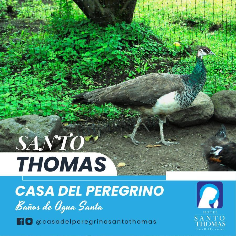 ホテル Casa Del Peregrino Santo Thomas バーニョス エクステリア 写真